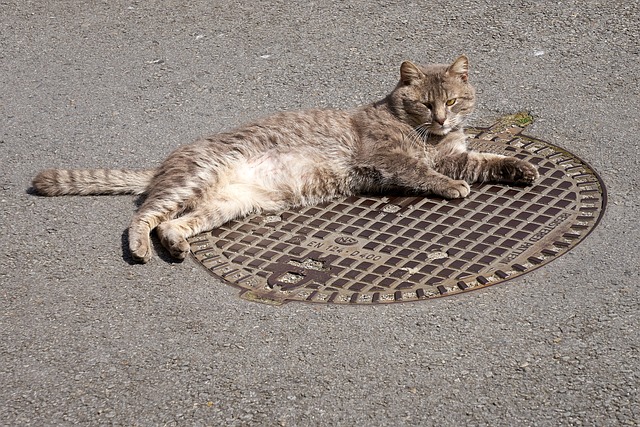 Kanalizačné systémy sa tiež musia čistiť